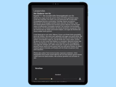 Amazon Fire Tablet: Schrift ändern