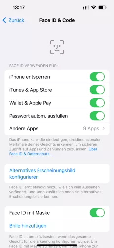 Apple iPhone iOS 17 Alternatives Erscheinungsbild konfigurieren