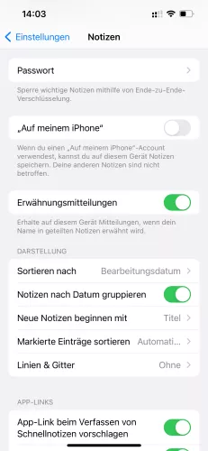 Apple iPhone iOS 17 Linien & Gitter