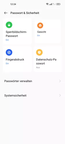 Realme Android 12 - realme UI 3 Datenschutz-Passwort