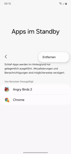 Samsung Android 14 - One UI 6 Entfernen