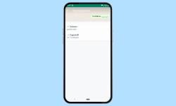 WhatsApp - Blaue Haken einschalten oder ausschalten