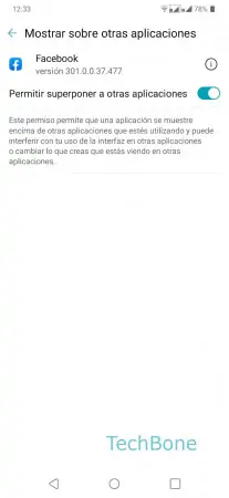 Paso 7: Activa o desactiva Permitir superponer a otras aplicaciones Mostrar sobre otras aplicaciones - Activa o desactiva Permitir superponer a otras aplicaciones