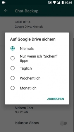 Schritt 6: Wähle die Häufigkeit der automatischen Sicherung Backup (Online) - Wähle die Häufigkeit der automatischen Sicherung