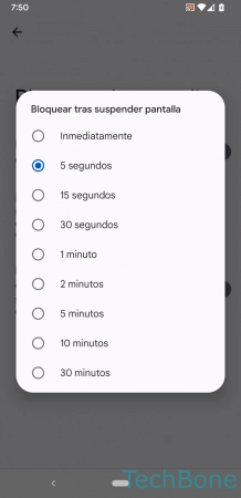 Paso 5: Elige una Opción Establecer el Tiempo de espera hasta Bloquear tras Suspender - Elige una Opción