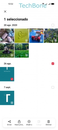 Paso 3: Si se desea, selecciona otros Archivos Eliminar Fotos o Vídeos - Si se desea, selecciona otros Archivos