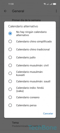 Paso 6: Elige una Opción Establecer un Calendario alternativo - Elige una Opción