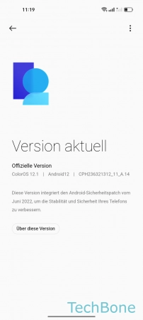 Schritt 4: Öffne das Menü Automatisch herunterladen - Öffne das Menü