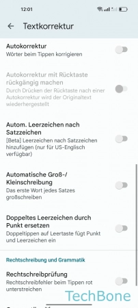 Schritt 6: Aktiviere oder deaktiviere Automatische Groß-/Kleinschreibung Automatische Groß-/Kleinschreibung - Aktiviere oder deaktiviere Automatische Groß-/Kleinschreibung