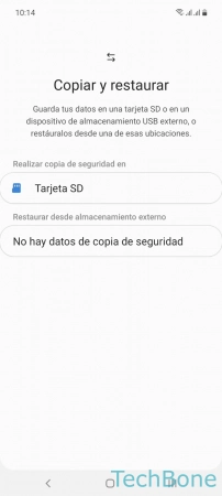 Paso 4: Presiona Tarjeta SD Crear una copia de seguridad local - Presiona Tarjeta SD