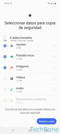 Paso 5: Selecciona los datos y presiona Realizar copia Crear una copia de seguridad local - Selecciona los datos y presiona Realizar copia