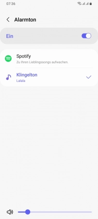 Schritt 4: Tippe auf Klingelton Uhrzeit vorlesen - Tippe auf Klingelton