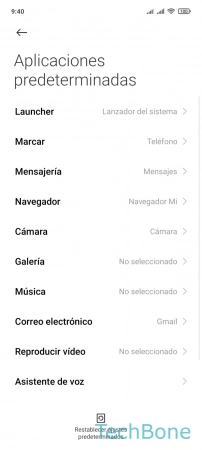 Paso 6: Presiona Navegador Establecer el Navegador predeterminado - Presiona Navegador