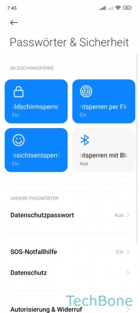 Schritt 3: Tippe auf Datenschutz Passwörter anzeigen - Tippe auf Datenschutz