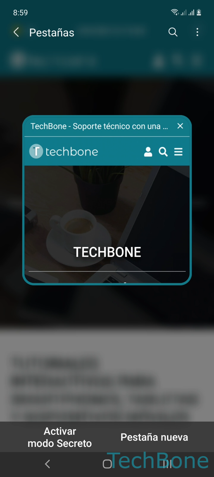 Juntar Mayor retroceder Activar o desactivar el modo incógnito en el navegador - Samsung Manual |  TechBone