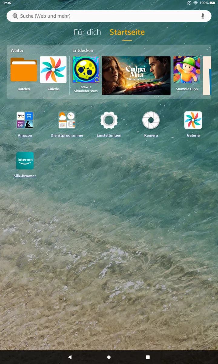 Browser-App: Tab wechseln – Fire OS 8: Schritt 1 – Silk-Browser-App öffnen